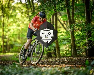 Veldslag om Norg photo