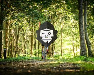 Veldslag om Norg photo