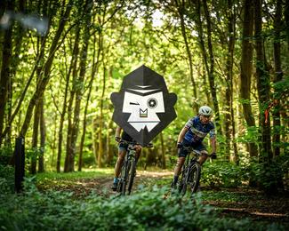 Veldslag om Norg photo