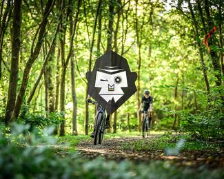 Veldslag om Norg photo