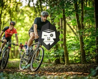 Veldslag om Norg photo