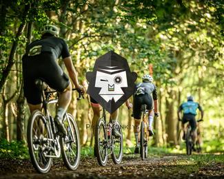 Veldslag om Norg photo