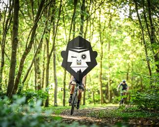 Veldslag om Norg photo