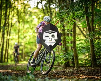 Veldslag om Norg photo