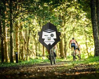 Veldslag om Norg photo