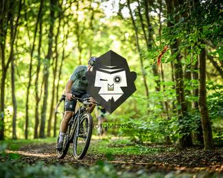 Veldslag om Norg photo