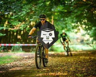 Veldslag om Norg photo