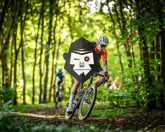 Veldslag om Norg photo