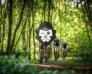 Veldslag om Norg photo