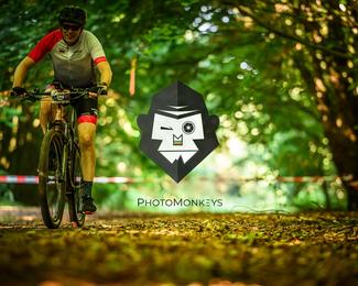 Veldslag om Norg photo