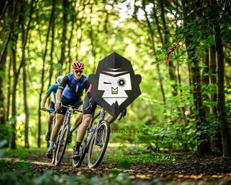 Veldslag om Norg photo