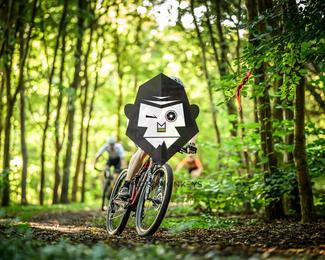 Veldslag om Norg photo