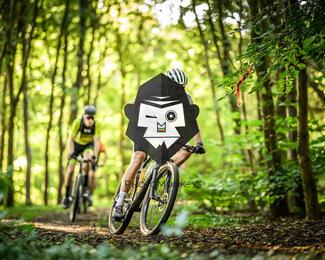 Veldslag om Norg photo