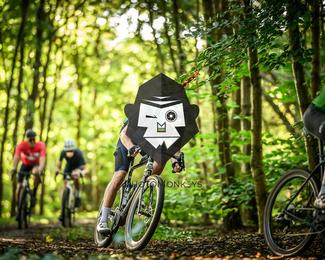 Veldslag om Norg photo