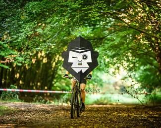 Veldslag om Norg photo