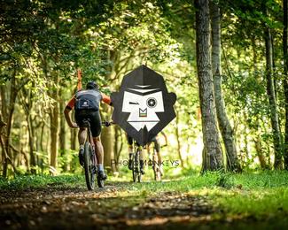 Veldslag om Norg photo