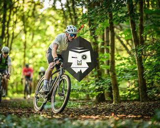 Veldslag om Norg photo