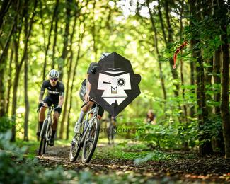 Veldslag om Norg photo