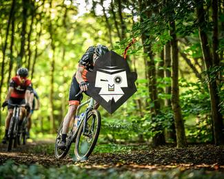 Veldslag om Norg photo