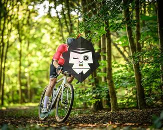 Veldslag om Norg photo