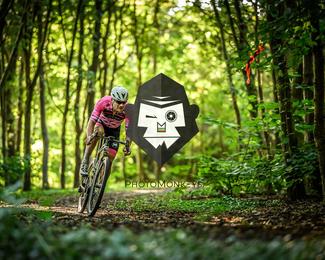 Veldslag om Norg photo