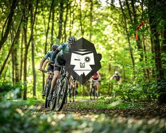 Veldslag om Norg photo