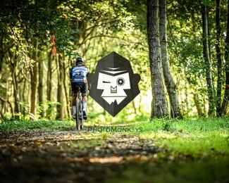 Veldslag om Norg photo