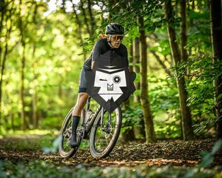 Veldslag om Norg photo