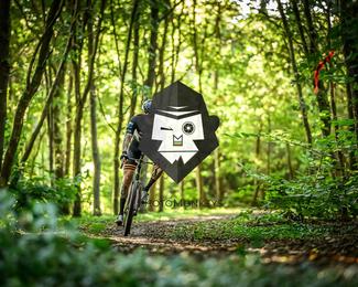 Veldslag om Norg photo