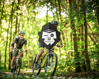 Bataille de Norg photo