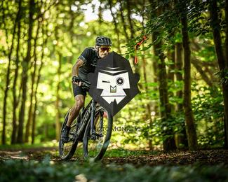 Veldslag om Norg photo