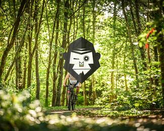 Bataille de Norg photo