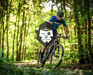 Bataille de Norg photo