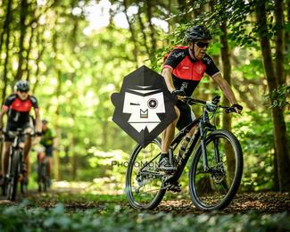 Bataille de Norg photo