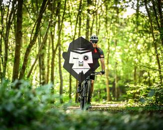 Bataille de Norg photo