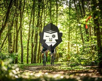 Battle of Norg photo