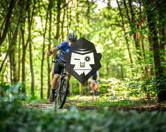 Veldslag om Norg photo