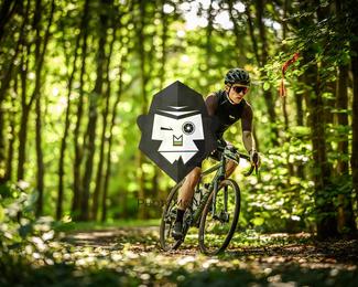 Bataille de Norg photo