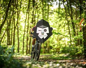 Battle of Norg photo