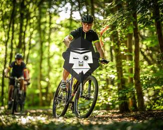 Bataille de Norg photo