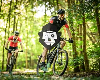 Bataille de Norg photo