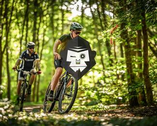 Bataille de Norg photo