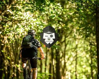 Bataille de Norg photo