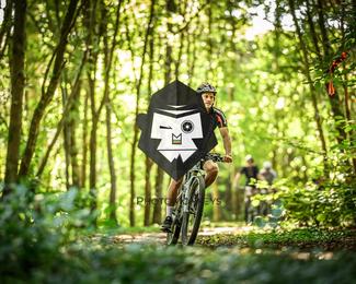 Bataille de Norg photo