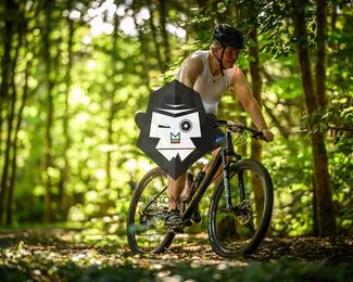 Bataille de Norg photo