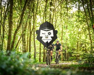 Bataille de Norg photo