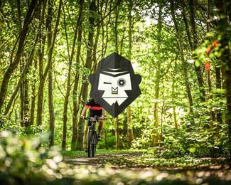 Bataille de Norg photo