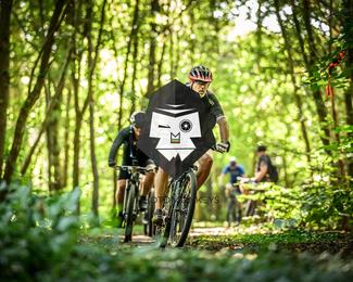 Bataille de Norg photo