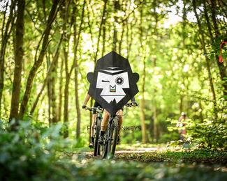 Bataille de Norg photo