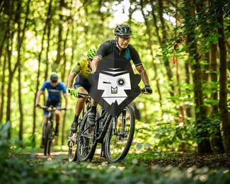 Bataille de Norg photo